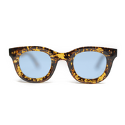 Vintage Tortoise Tinted Sunglasses